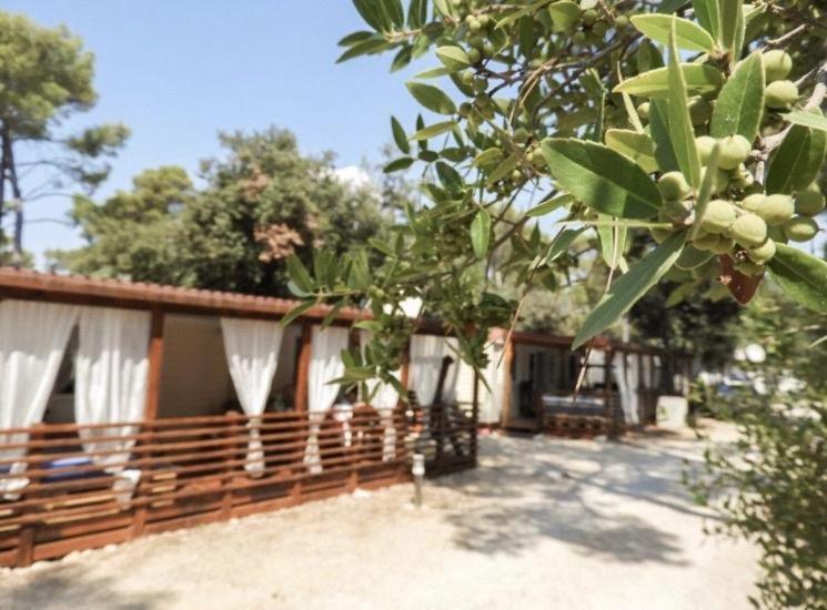 Mobile Home Cube, 3 Bedrooms, Free Parking, Wifi بيوغْغاد نا موغو المظهر الخارجي الصورة